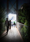 Foresta Lumina