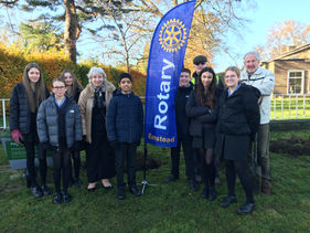 Banstead Rotary Crocus Planting