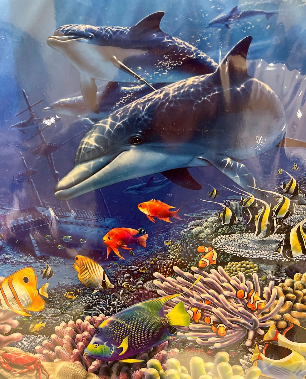 Shipwreck The Blanket Hog