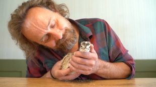 Some of my Favorite Things | the sacred gaze: discovering "A Chick Called Albert"