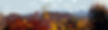 header-1088x300-foliage-cutout.jpg