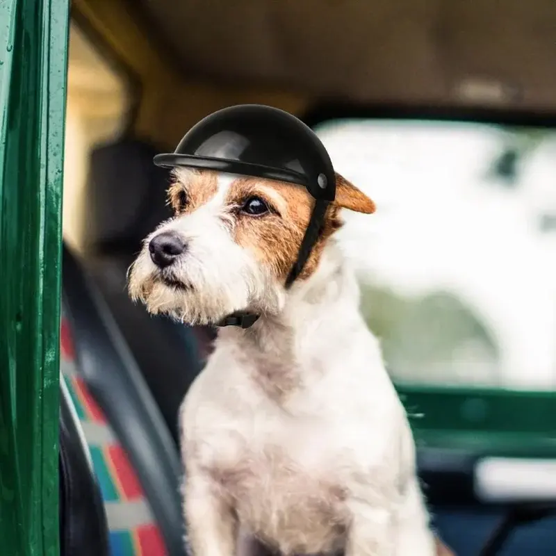 Thumbnail: Pet Helmets Dog Cat Bicycle Motorcycle Helmet With Sunglasses