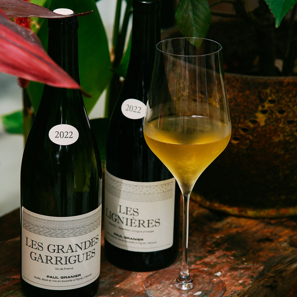 Gụ Wine Bistro - The Best Wine Bar in Da Nang for Artisan Wines and French Cuisine