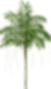 arvore.png