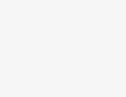 fundo3.png