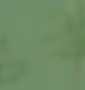 fundo verde 2.png