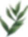 folha de cima.png