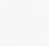 fundo.png
