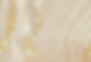 fundo4.png