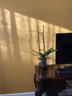 Lakeview Center sitting room
