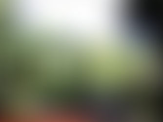 Pratica de Yoga para Entrega e Nutrição (yoga restaurativa)