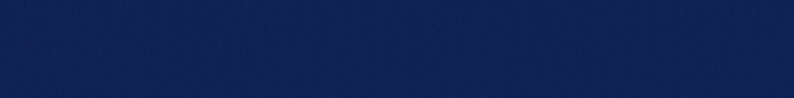 MEGABANNER FOUS (728 x 90 px).gif