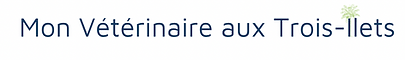 Capture d’écran 2021-11-19 à 15.42.30.png