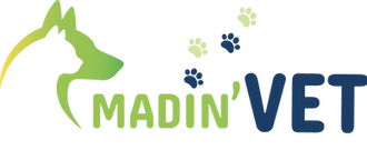 logo fond transparent.png