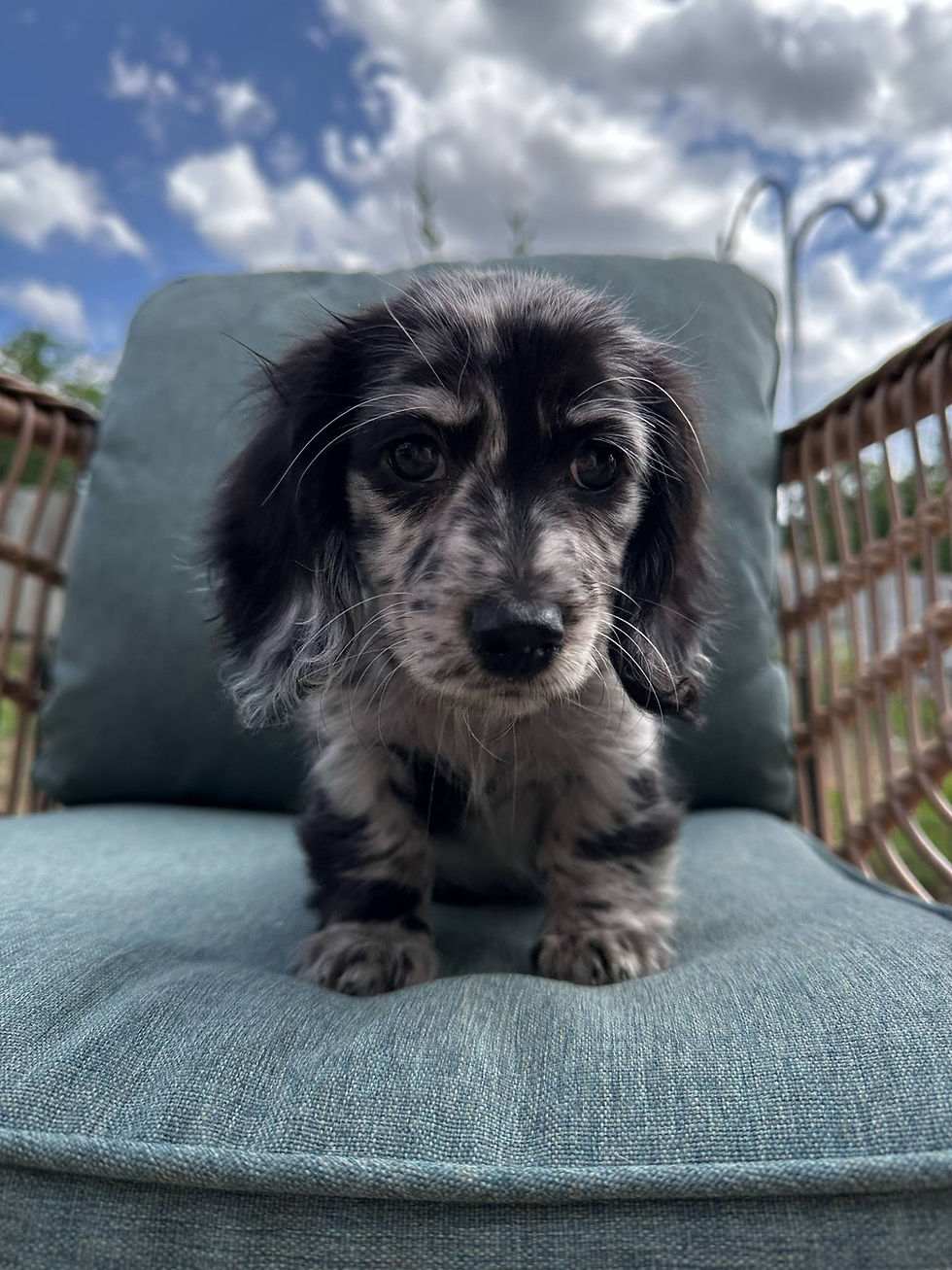 5a067ff4-60fe-4581-b234-508ab0c01d7b