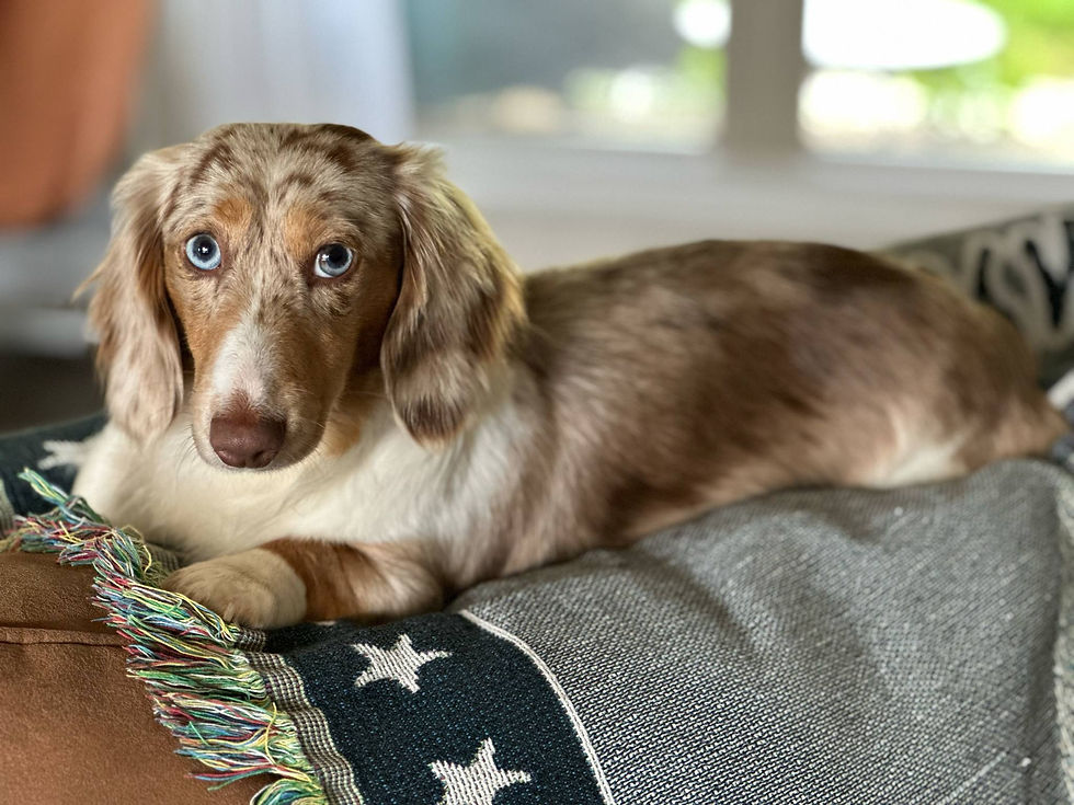 6223da6c-611c-4c22-a994-3db939d051a4