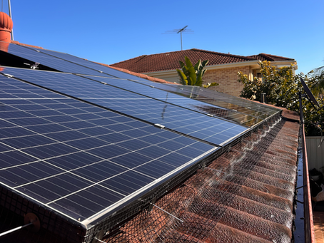 The Essential Benefits of Bird Meshing for Solar Panels in Sydney