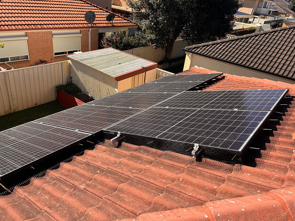 bird meshing install of solar panels
