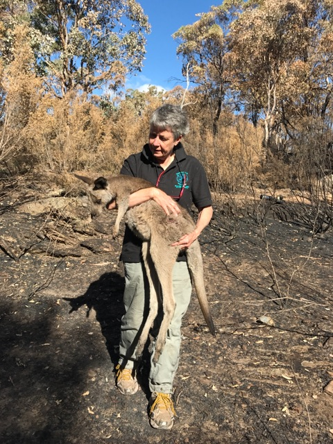 Possumwood Bushfire Emergency Plan