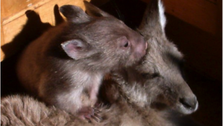 Wilma’s Story