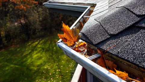 Orange and brown autumn leaves filling a metal rain gutter along a dark shingled roof with trees in the background.