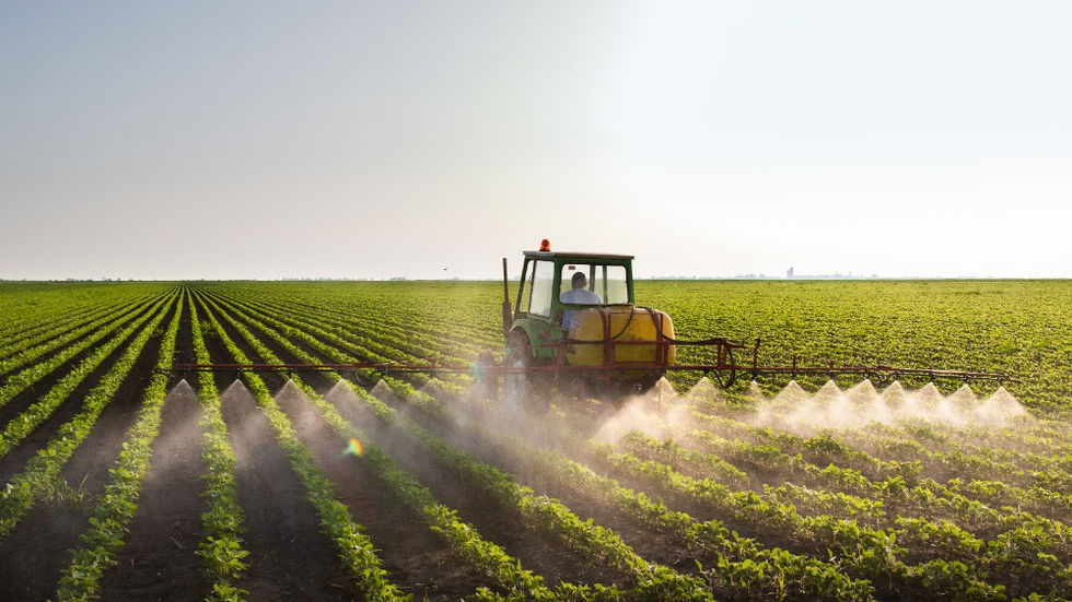 A large tractor with a spray attachment spraying a soybean field with pesticides. The field stretches into the distance.