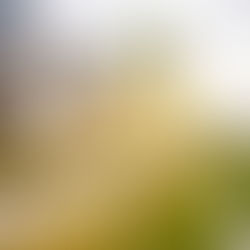 Several residential building all in a row. There are young trees planted along a walkway running between complexes.