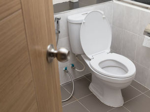 Characteristics of a Quality Commercial Toilet