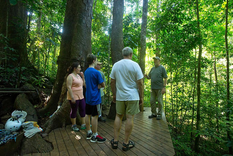 Thumbnail: Zip-Lining