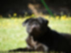 DSCF2129.JPG
