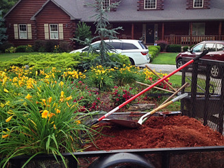 Landscape Maintenance