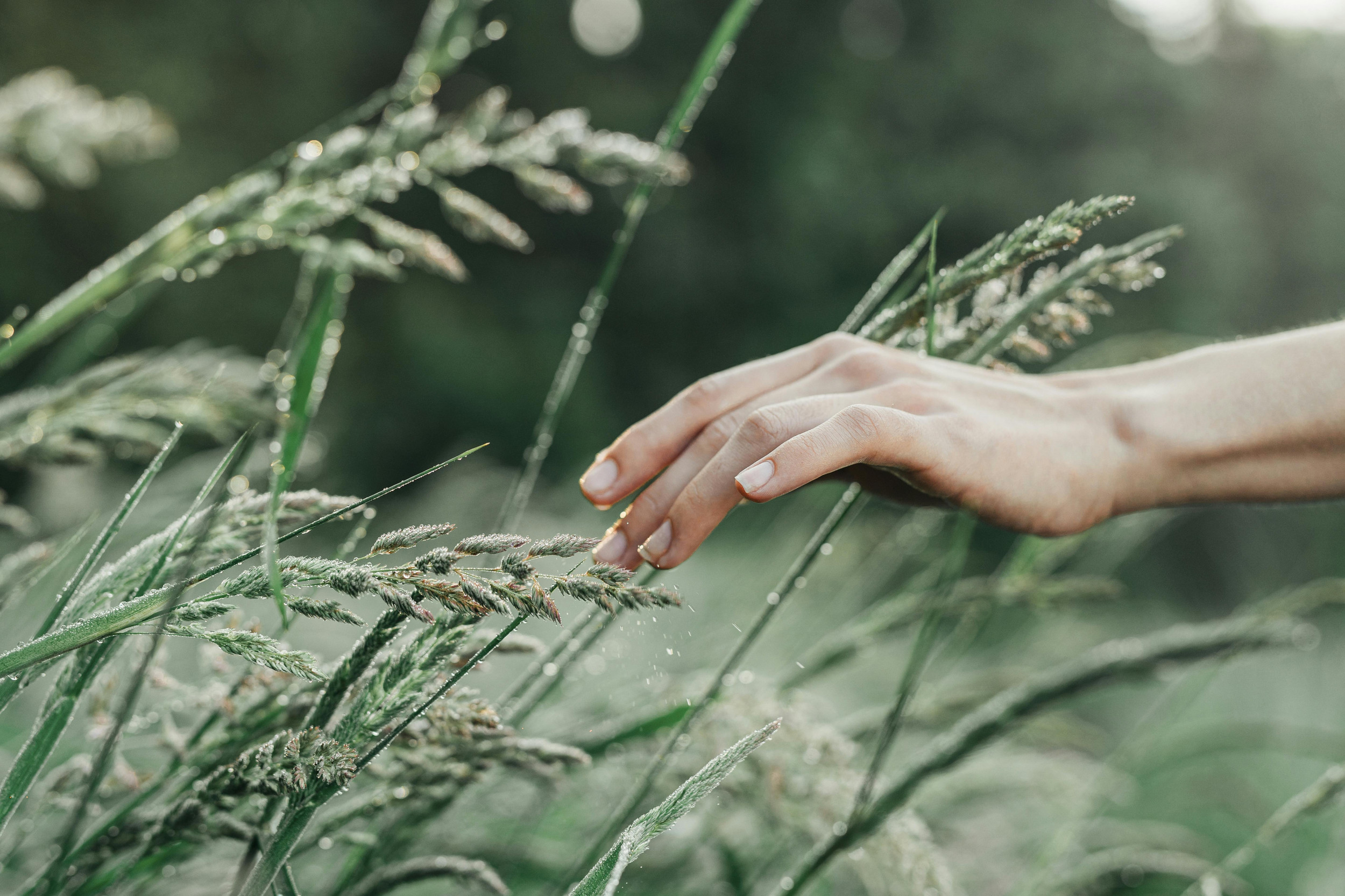 Understanding Highly Sensitive People: Are You One of Them?