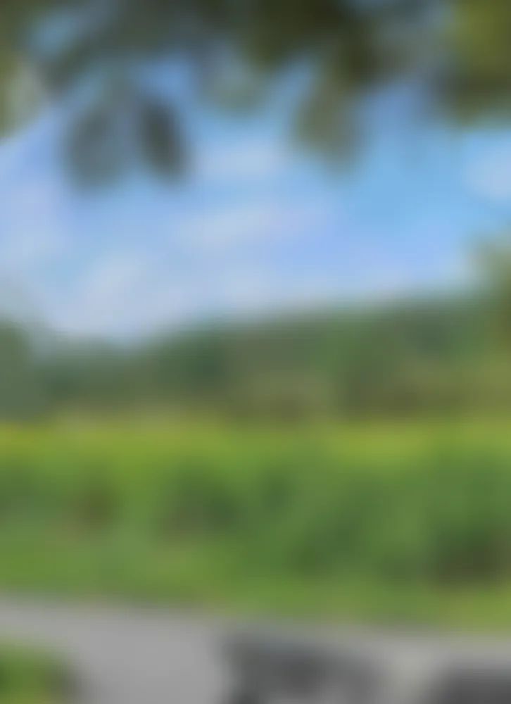 mid-bg.webp