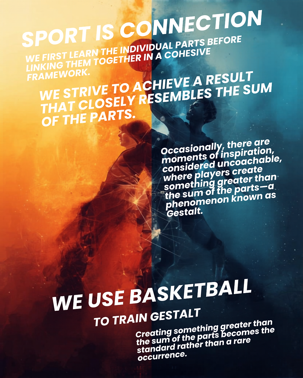 Older adults and adult beginners play Basketball (2)