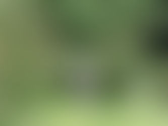 「つがる」終了です<(_ _)>