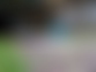 「ひとめ☆ボーレ春新米」、残り200㌔&お客さまへお知らせです(゚Д゚)ノ