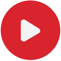Rooted Watch