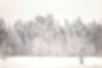 Winter snow.jpg