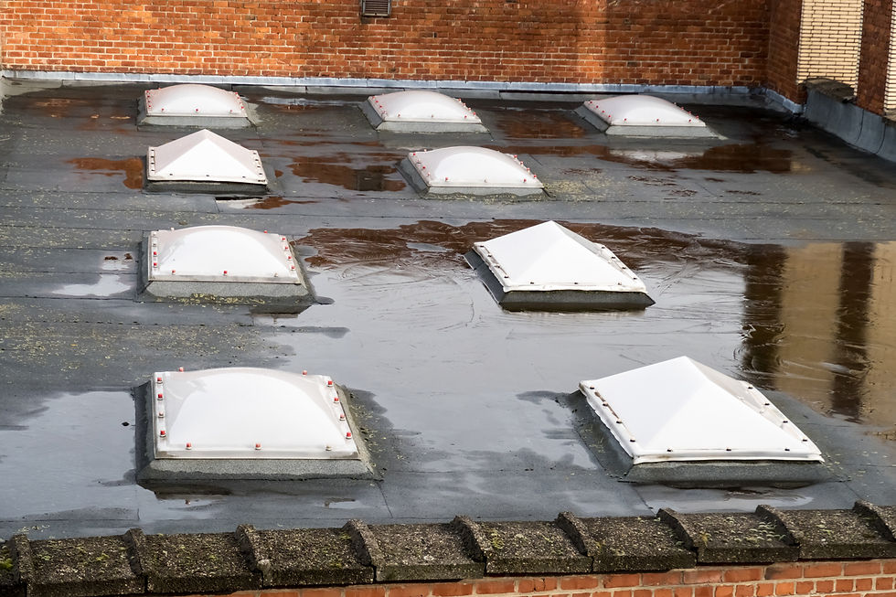 drain and flashing check during roof inspection Calgary