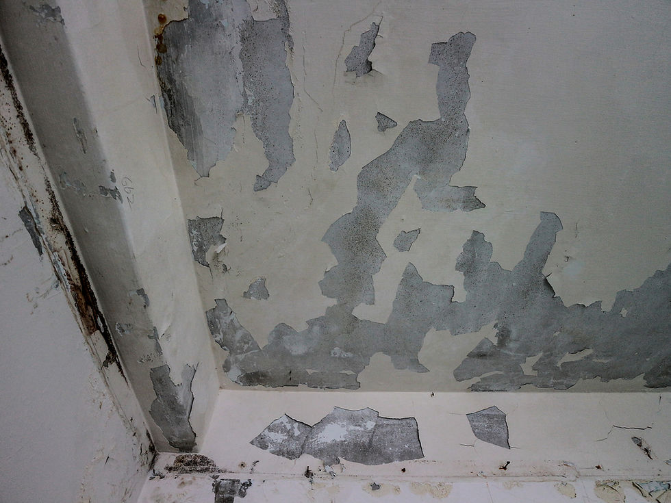 flat roof leak Calgary building