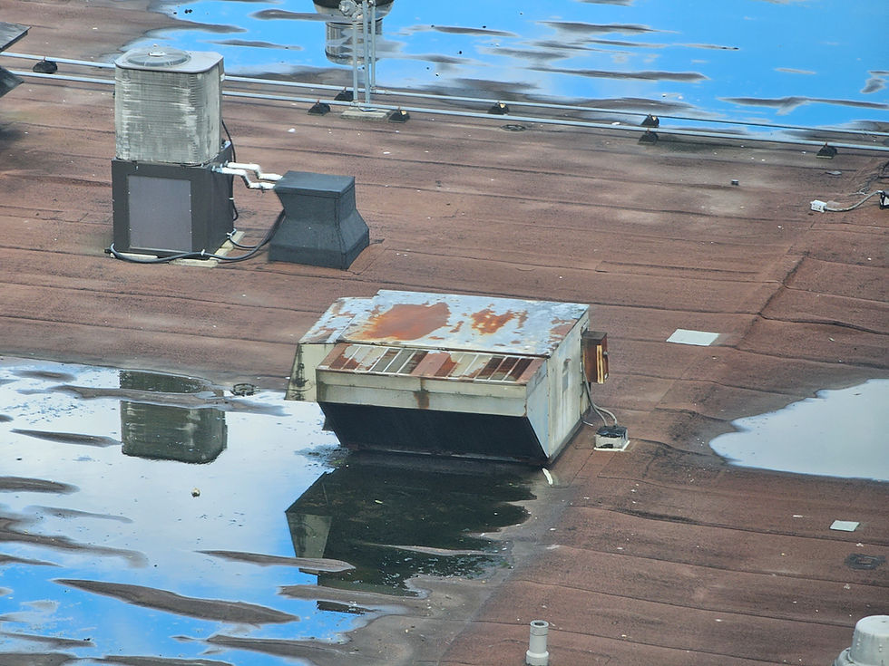 flat roof protected against heavy rain Calgary business