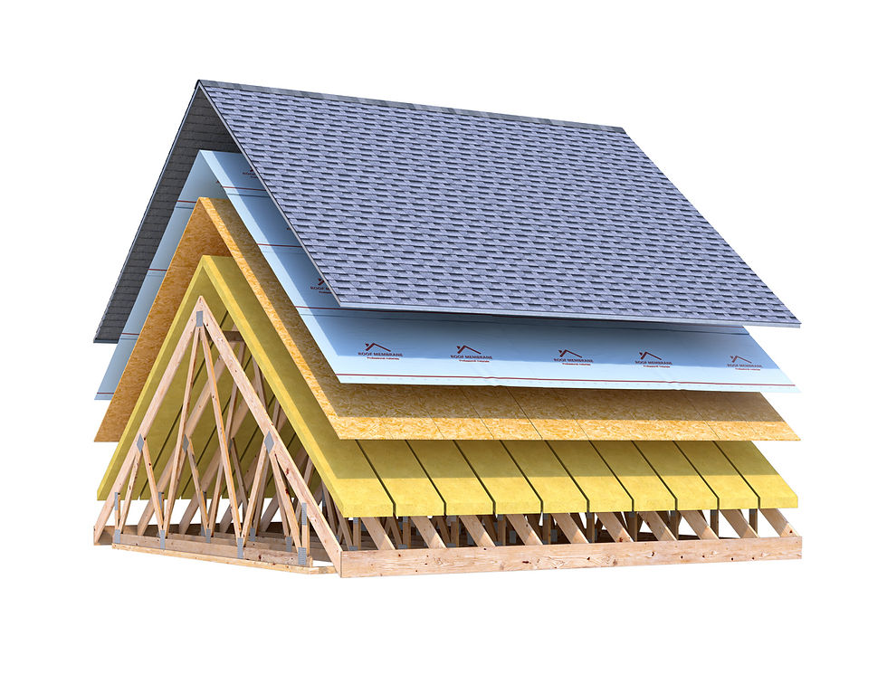 roof insulation system