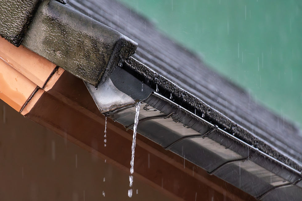 Water damaged Roof repair in Calgary