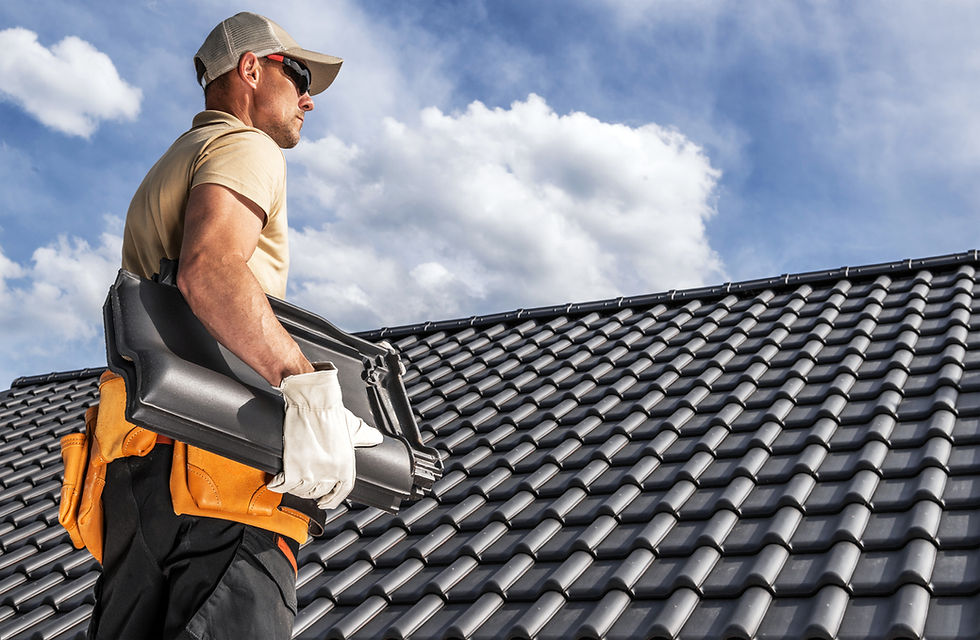 Angel's Roofing expert