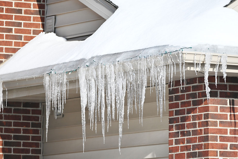 Residential home in YYC during winter