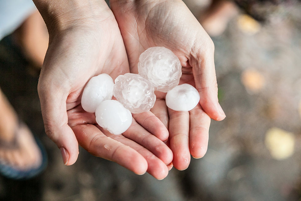 Two hands hold several large hailstones, white and translucent, over a blurred wet ground background.