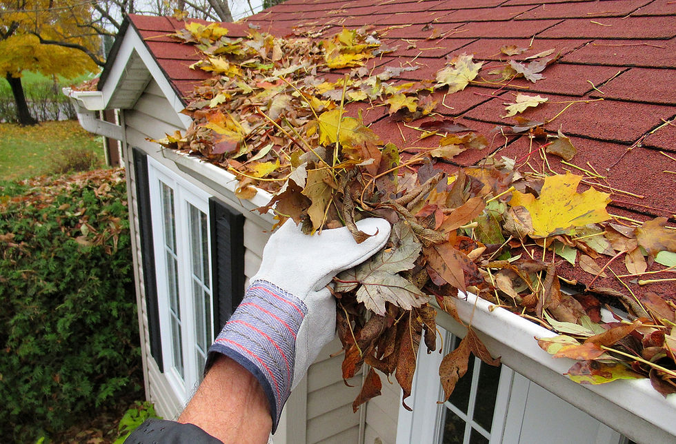 Gloved hand clearing autumn leaves from a house roof and gutter on a white-sided home with red shingles.