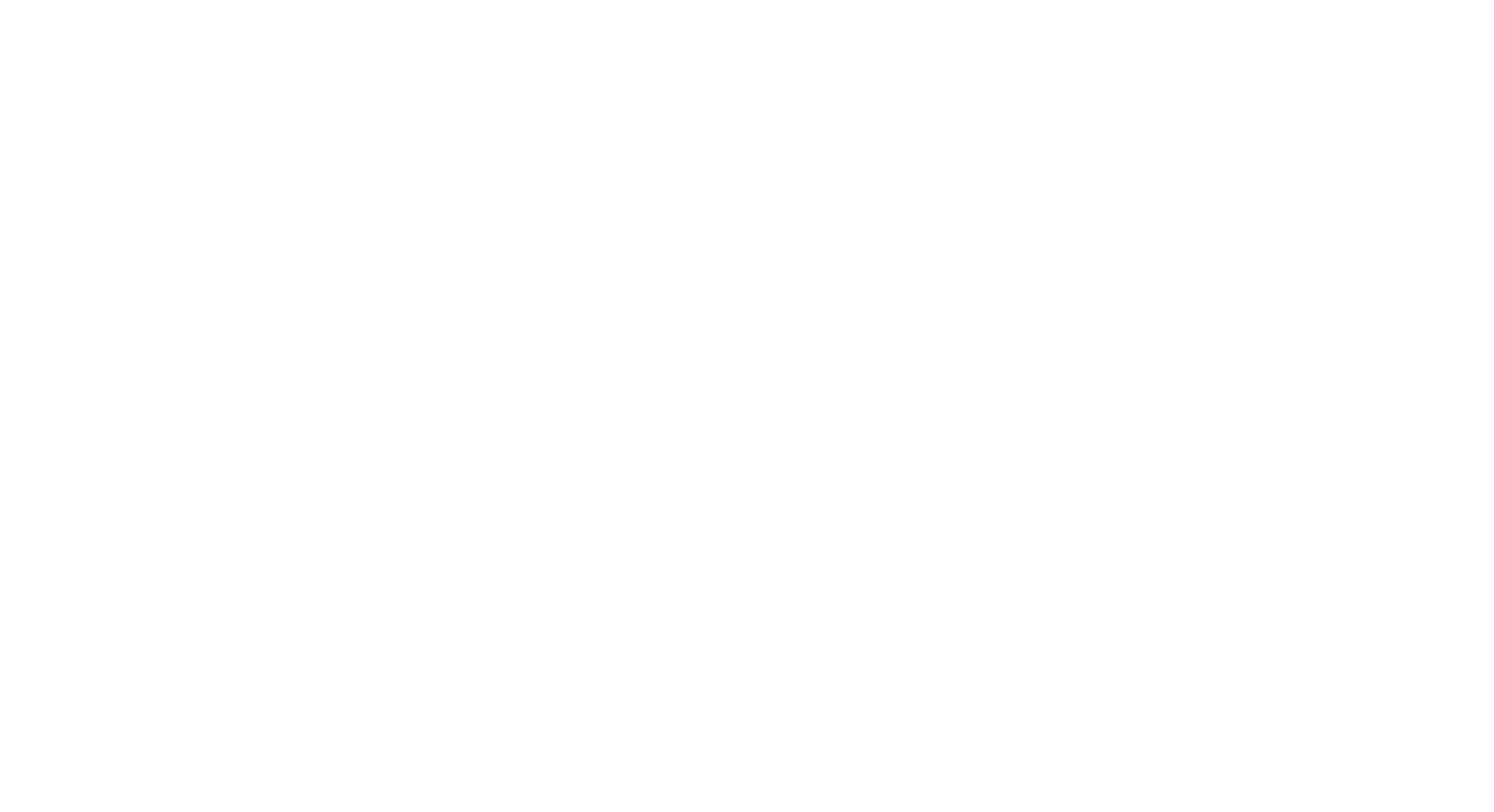 Primaris Logo White.png