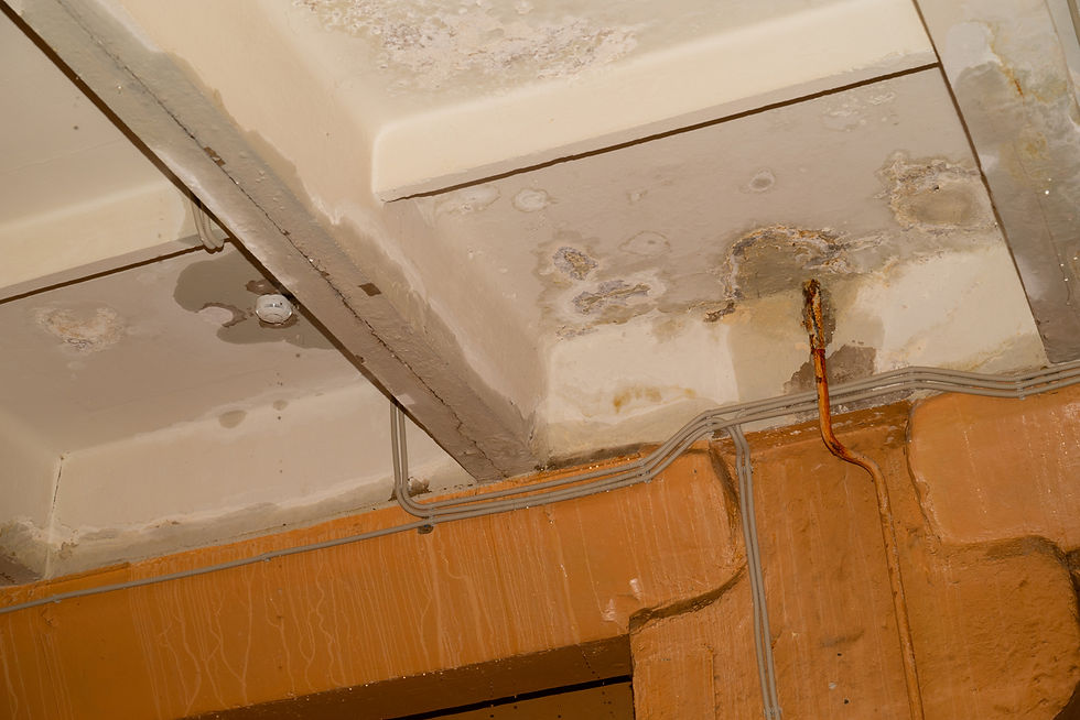 wet insulation detected on Calgary commercial roof