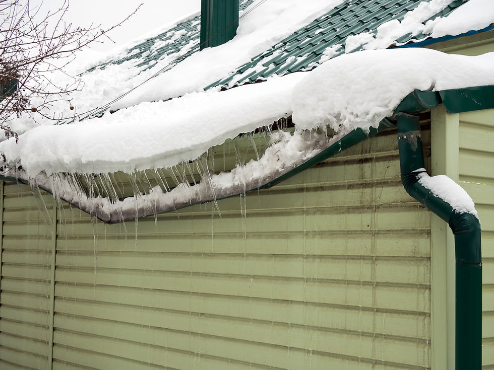 Snow-covered roof with icicles hanging from a green gutter. Light green siding and bare branches in the background. Winter setting.